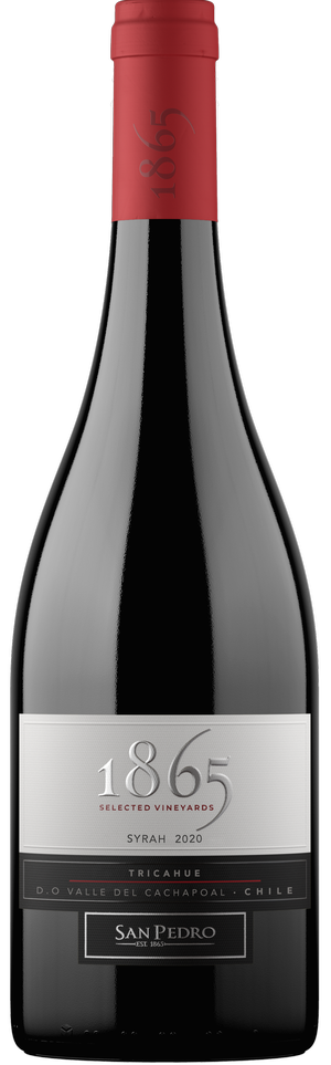 1865 SELECTED VINEYARDS SYRAH 75CL