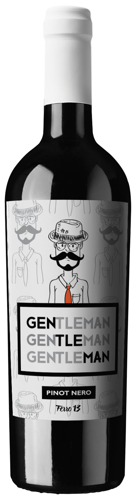 FERRO 13 GENTLEMAN PINOT NERO 75CL